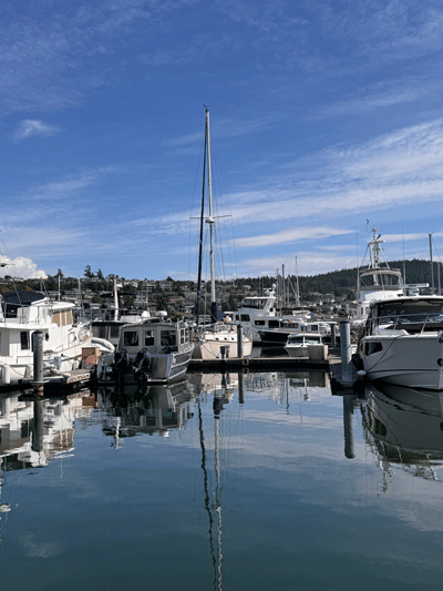 Skyline Moorage - Specializing in Moorage Sales