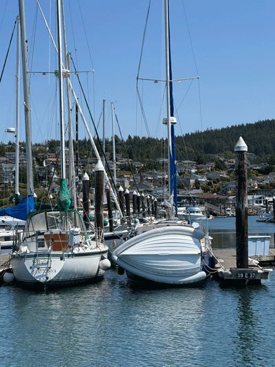 Skyline Moorage - Specializing in Moorage Sales